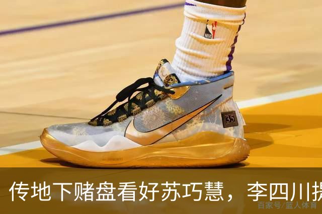 传地下赌盘看好苏巧慧，李四川提8年前侯友宜胜选经验反击